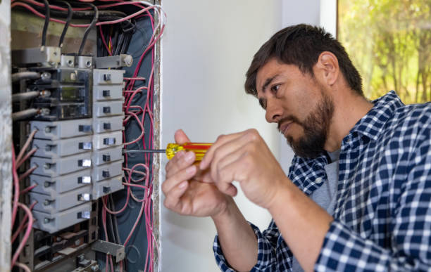 Best Electric Panel Repair  in South Elgin, IL